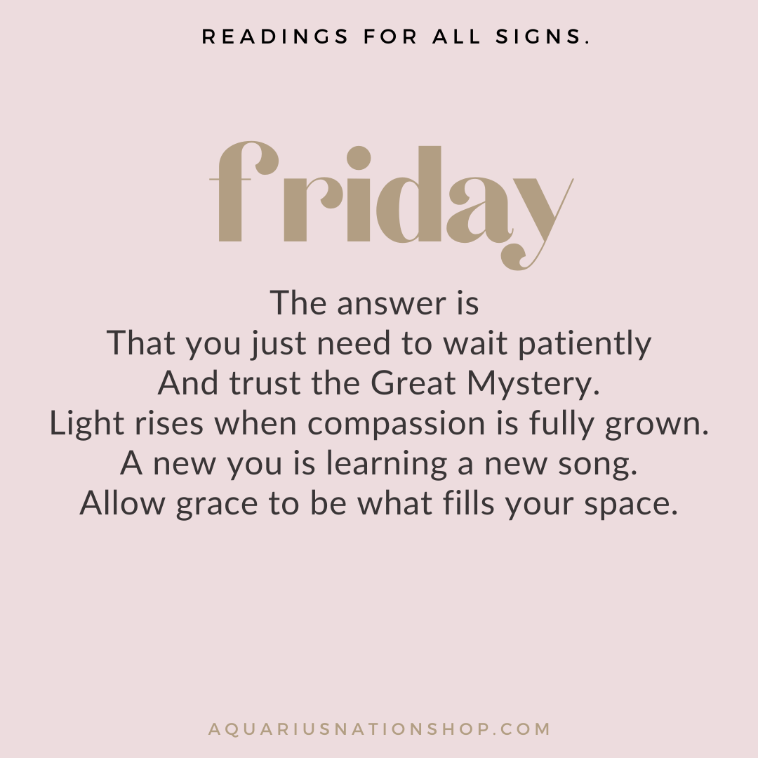 friday 7 january