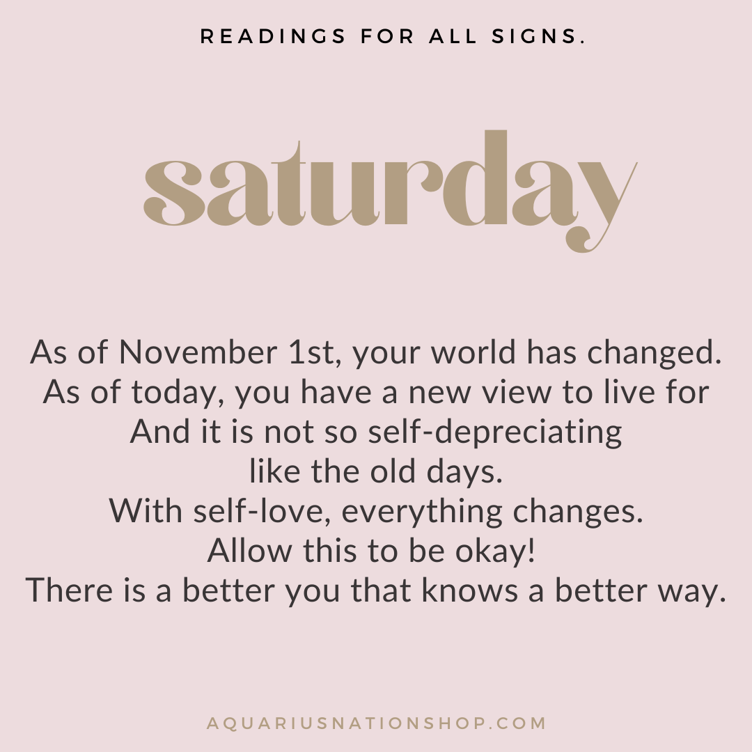saturday 20 november