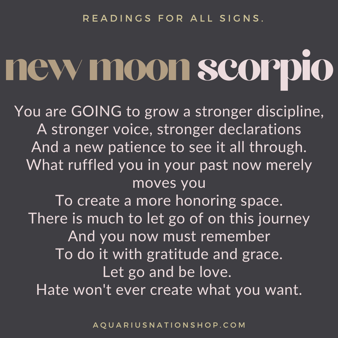 thursday 4 november | new moon in scorpio