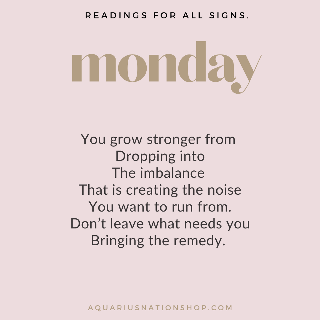 monday 22 november