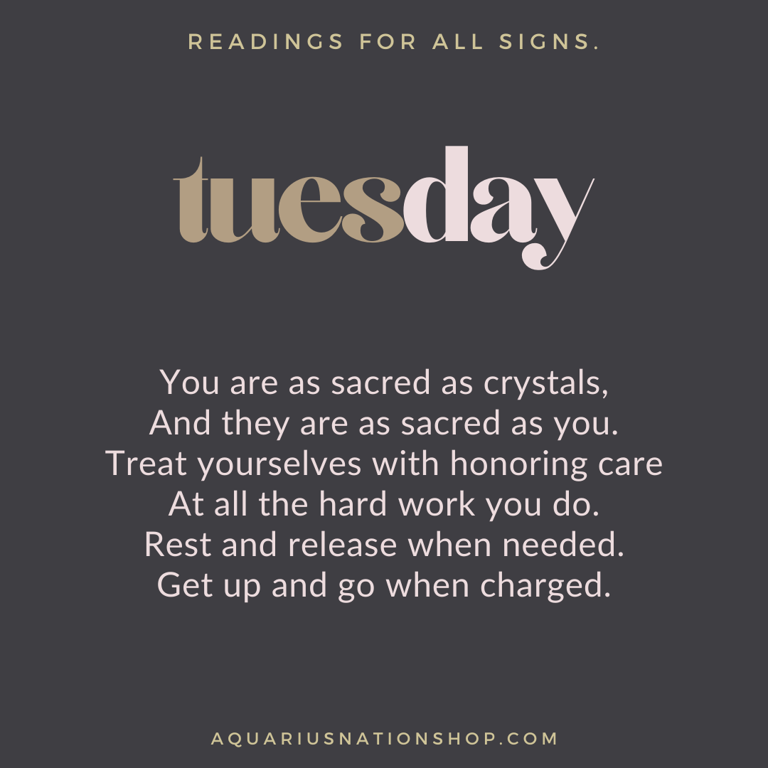 tuesday 23 november