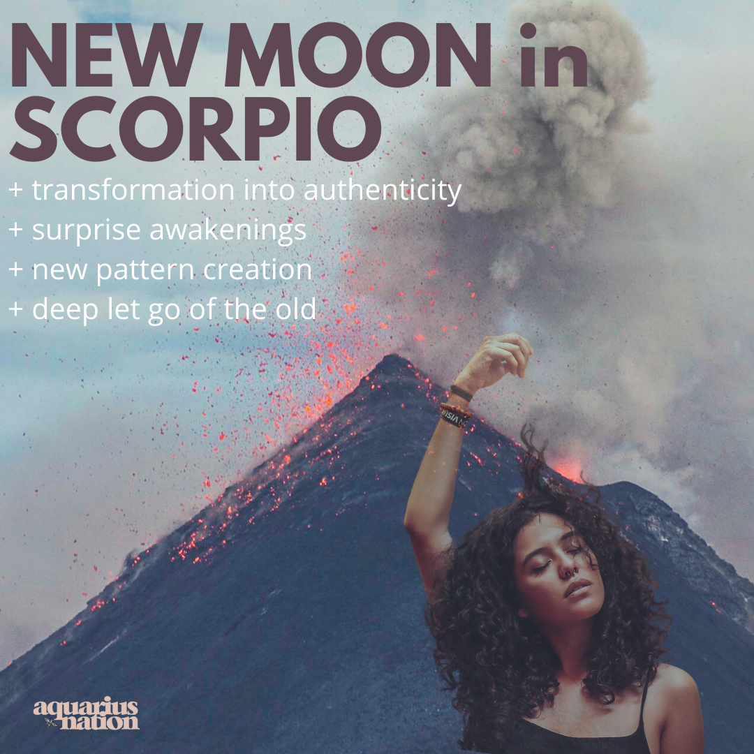 New Moon in Scorpio | READINGS FOR ALL SIGNS