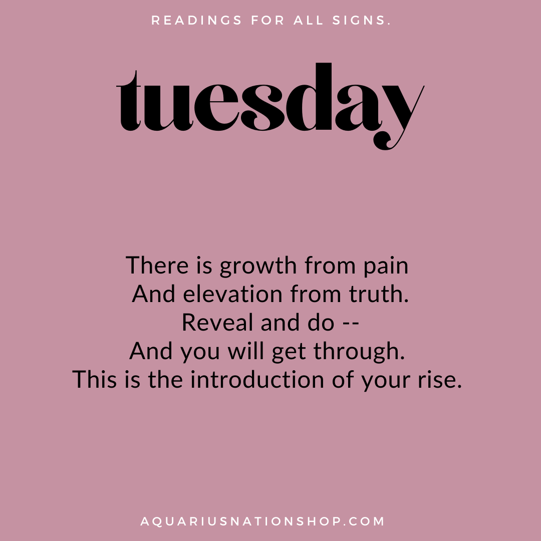 tuesday 31 august