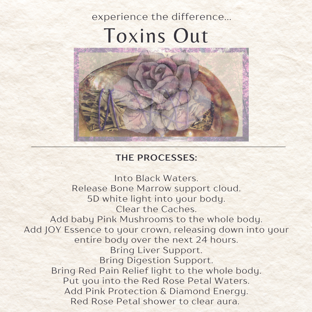 Toxins Out | Programmed Healing Session