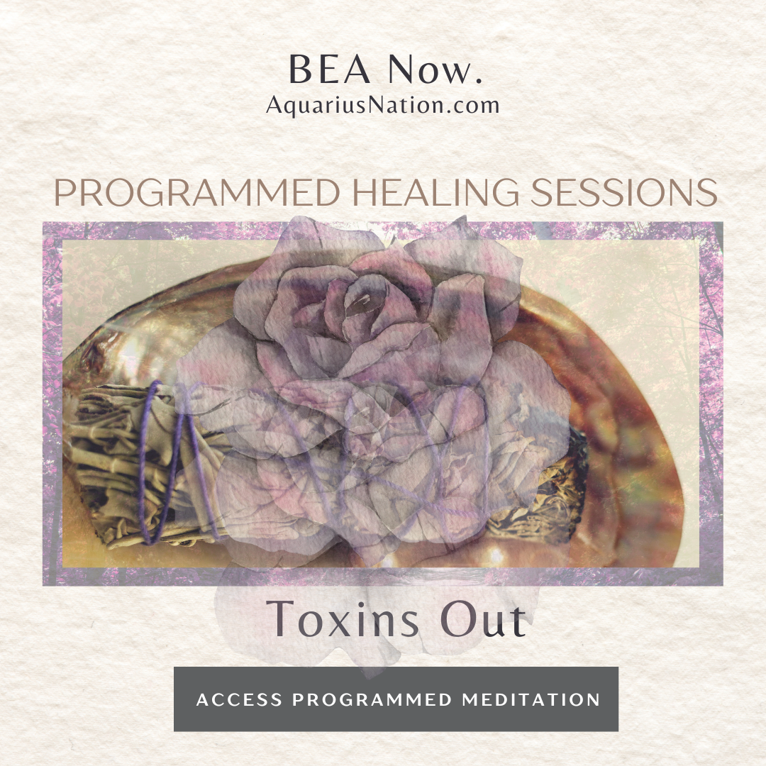 Toxins Out | Programmed Healing Session