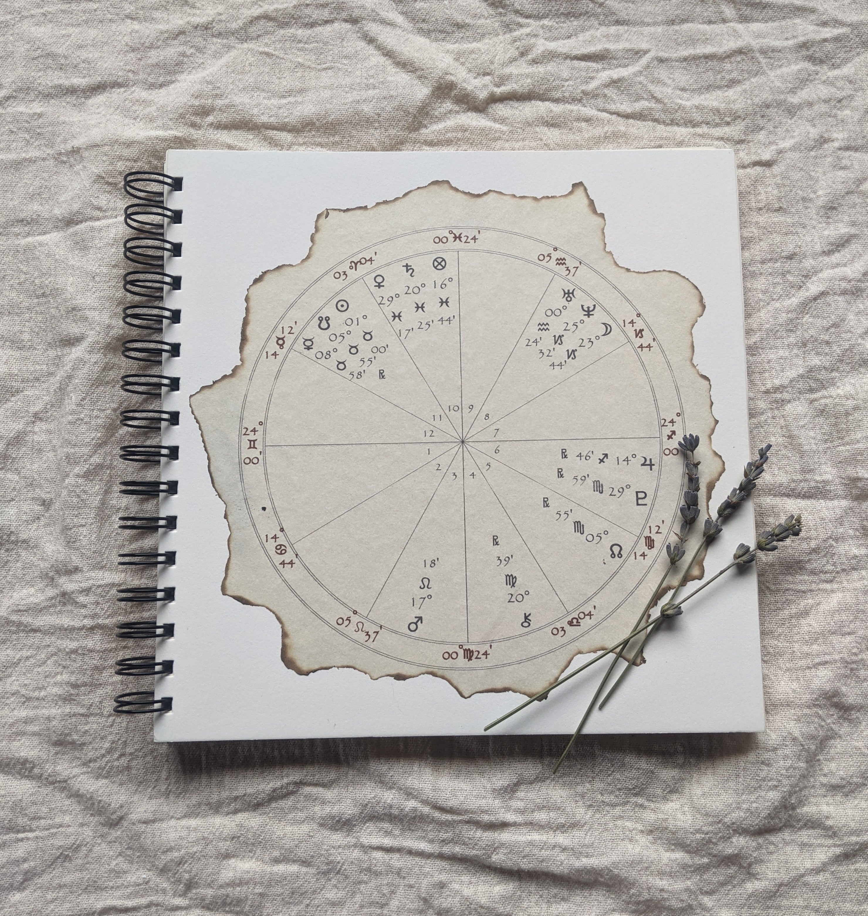 Birth Chart Book